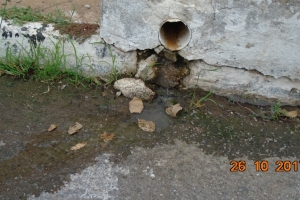 DSC00091