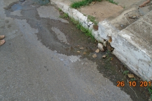 DSC00092