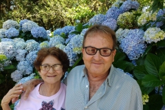 88d5c483-1c9d-4f68-b7e9-0cfea68d0cfb