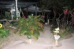 01-DSCN2942