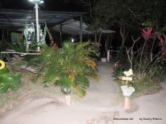 01-DSCN2942
