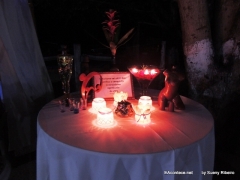 16-DSCN2962