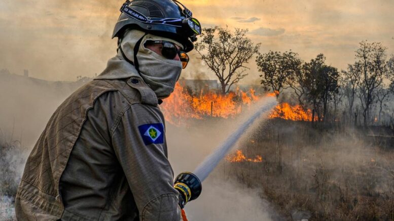 TOLERÂNCIA ZERO – Governo de MT estabelece período proibitivo de uso do fogo com prazos ampliados e diferentes para Amazônia, Cerrado e Pantanal